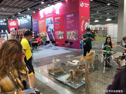 2022大湾区宠物用品博览会暨采购交易会 共筑宠物经济新生态